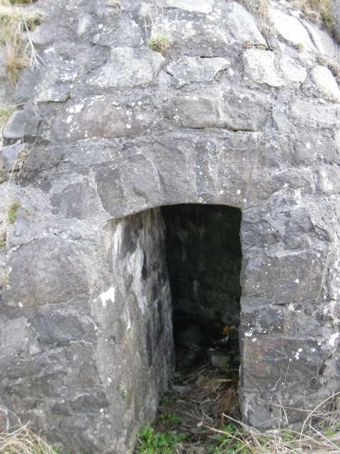 CIMG0856.JPG