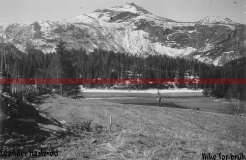 -3. Komp. I.R. 236-