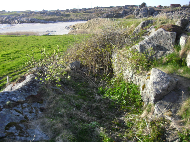 CIMG0866.JPG