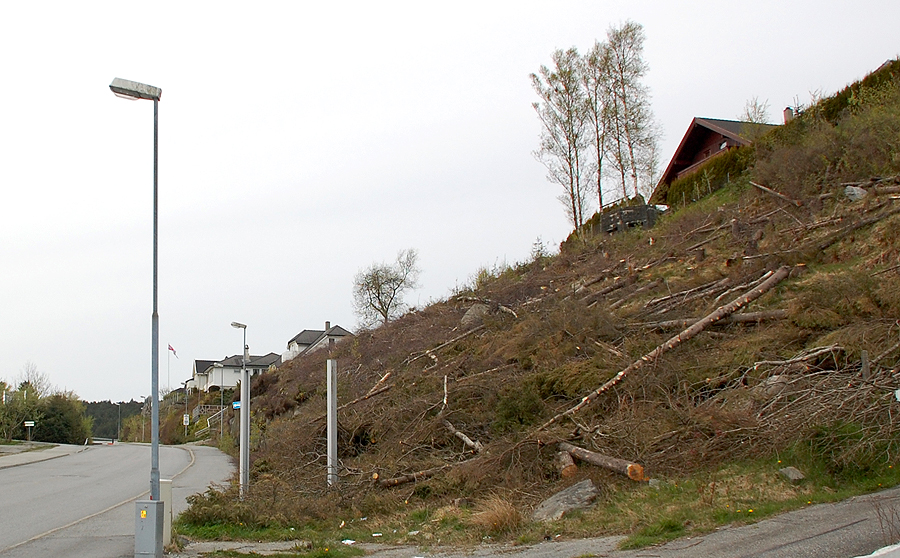 - pillbox i skråningen.jpg