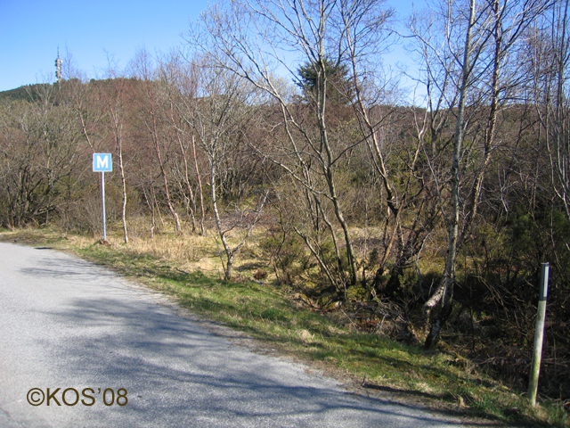 20080419_001_1.jpg