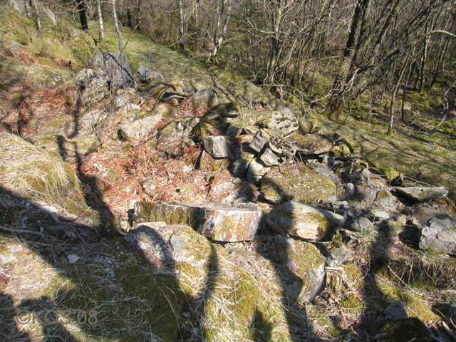 Ruin av grunnmur, m/skorstein