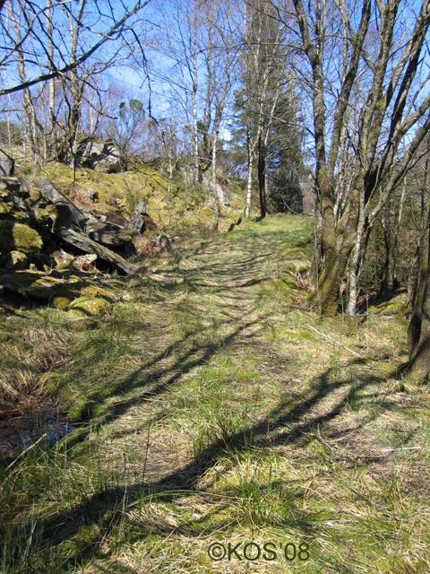 20080419_007_1.jpg
