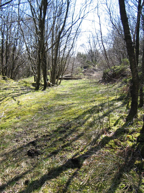 20080419_008_1.jpg