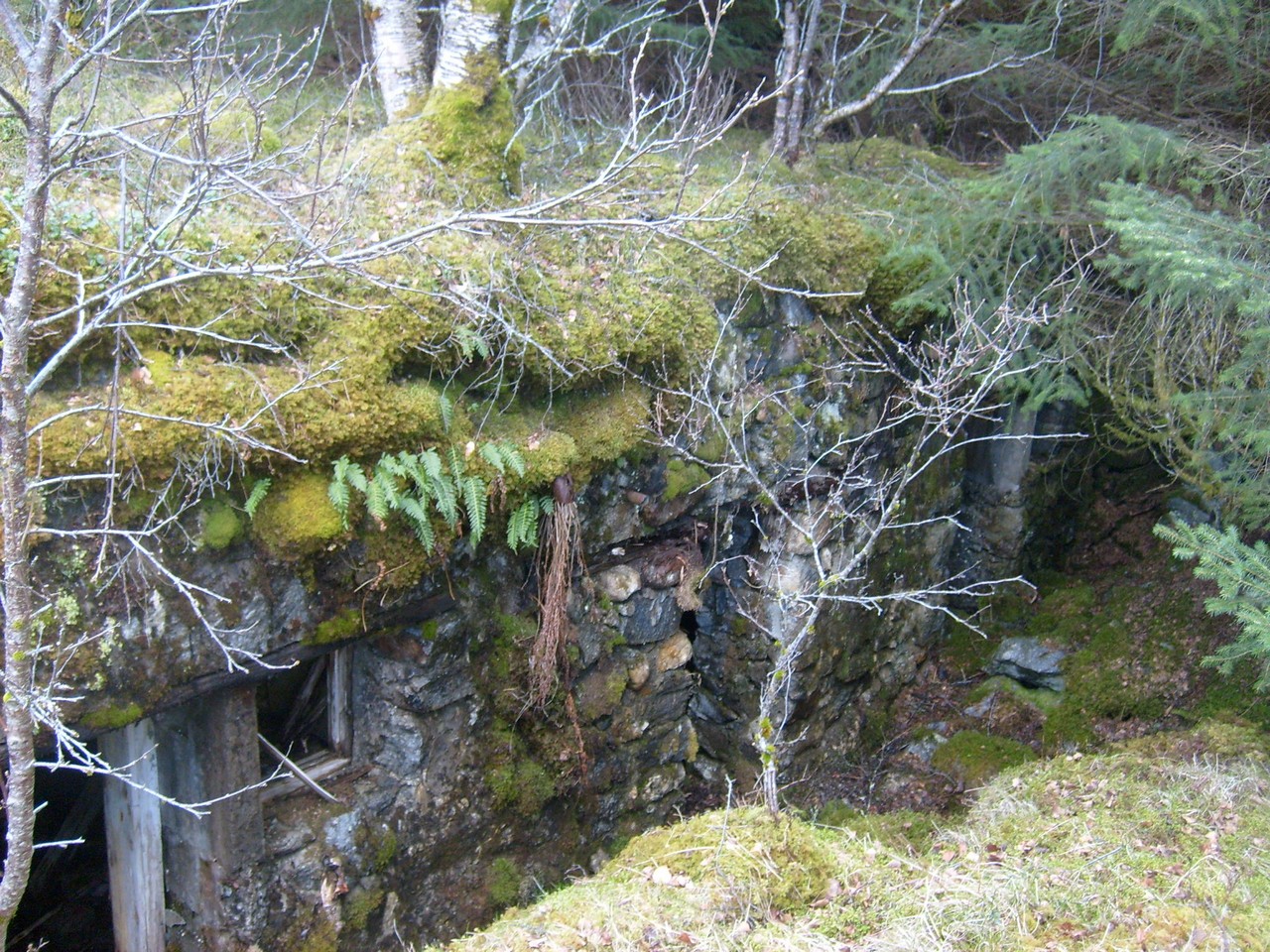 Personellbunker vedstor nærforsvarsstilling.jpg