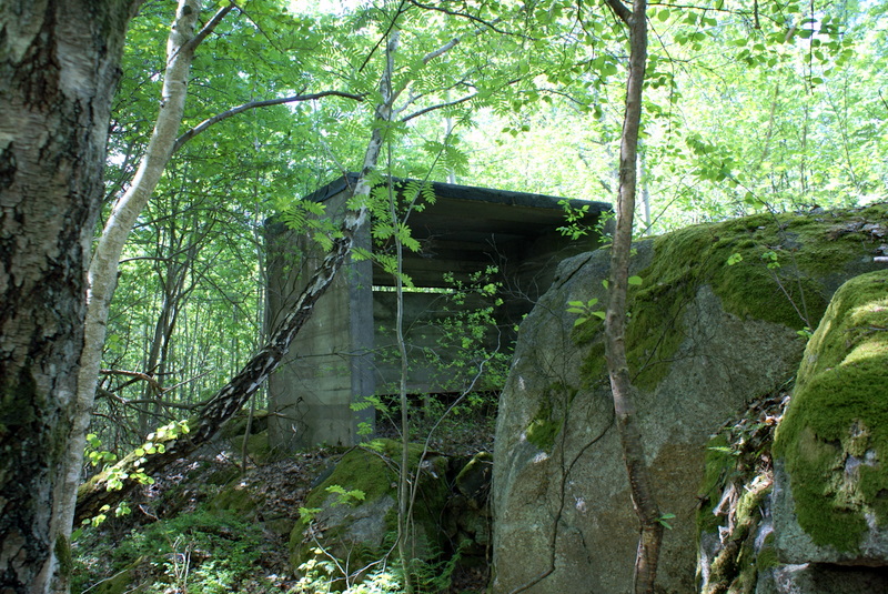 DSC02242.JPG