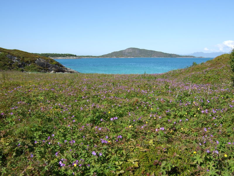 Krøttøytoppen og Meløyvær i bakgrunnen.