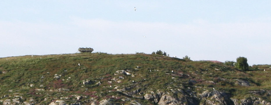 smellingen4.jpg