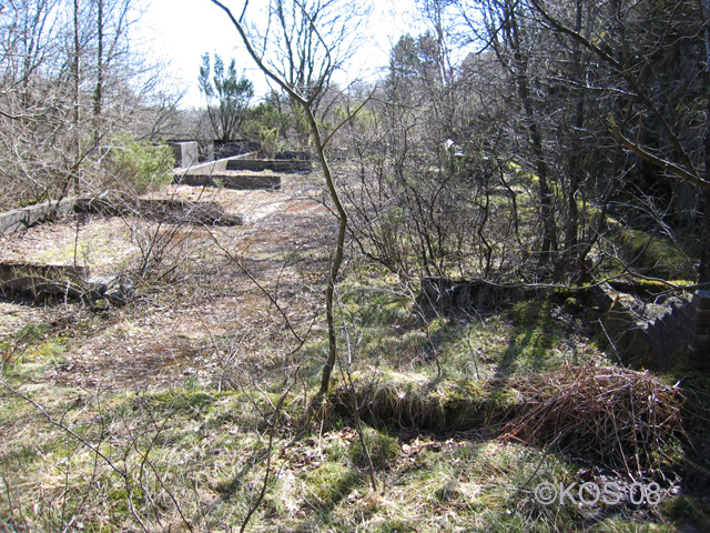 20080419_009_1.jpg
