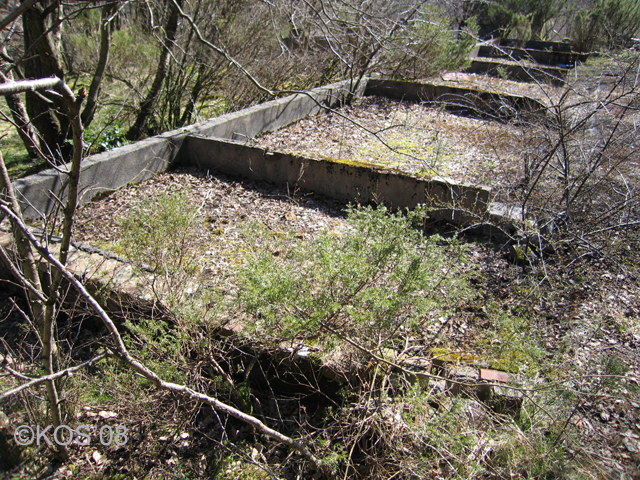 20080419_010_1.jpg