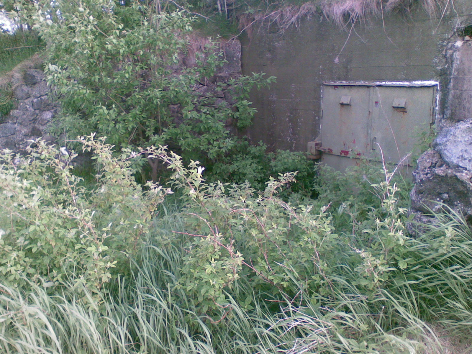 07062010.jpg