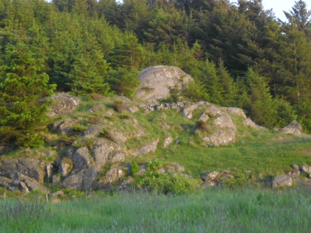 CIMG1032.JPG