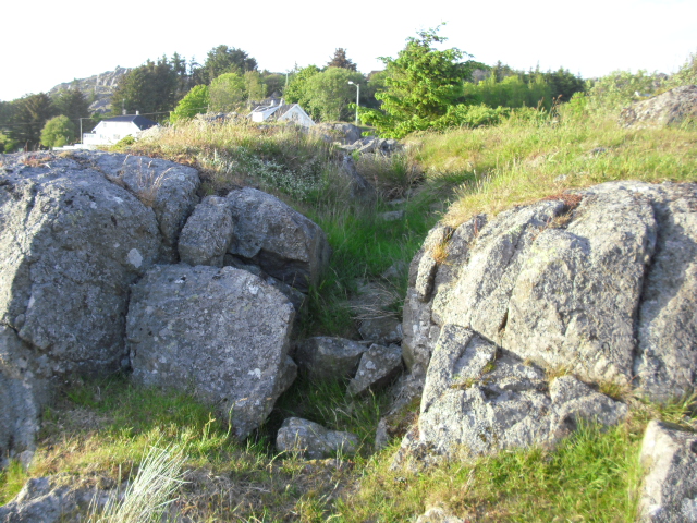 CIMG1028.JPG