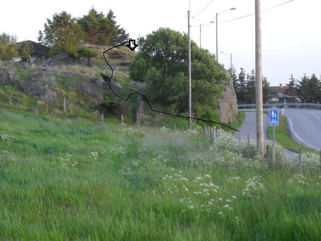 CIMG1033 3.jpg
