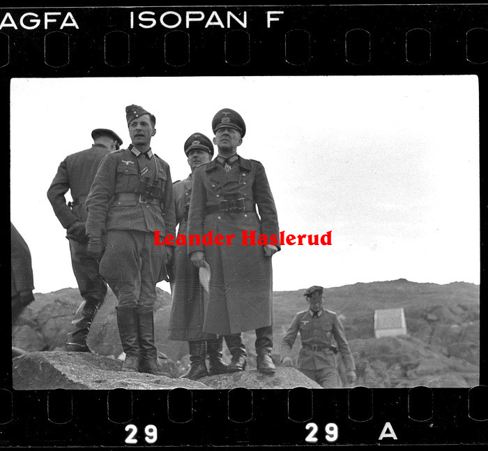 Negativ 29.jpg