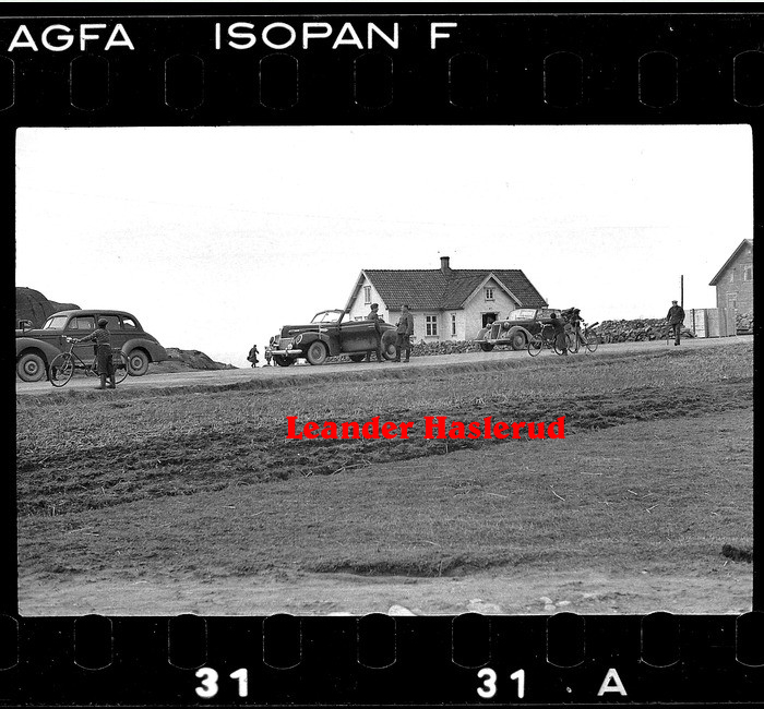 Negativ 31.jpg