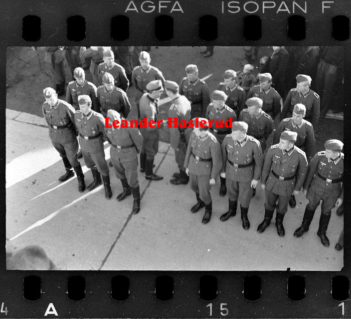 Negativ 15.jpg