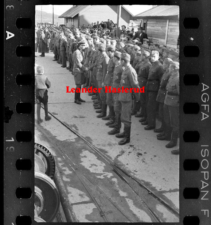 Negativ 19.jpg