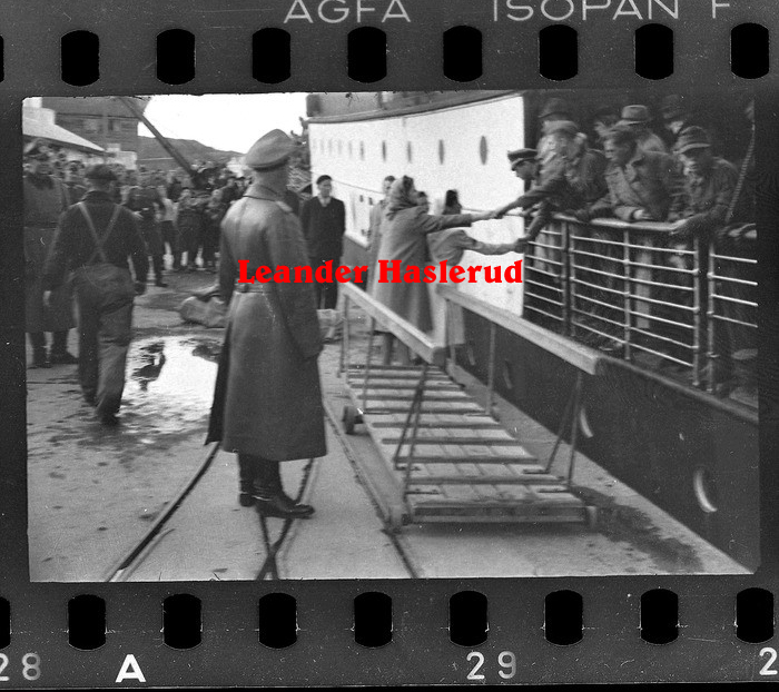 Negativ 29.jpg