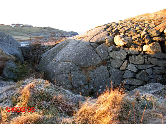20090104_006_1.jpg