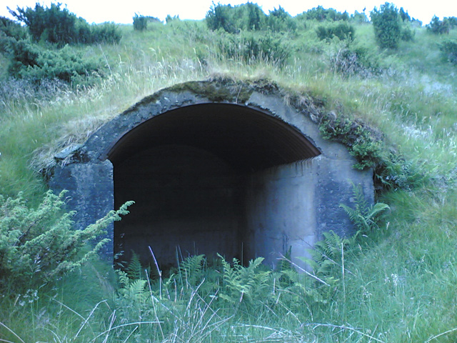 Fedjedalen, HKB 64/977 Skaaredal