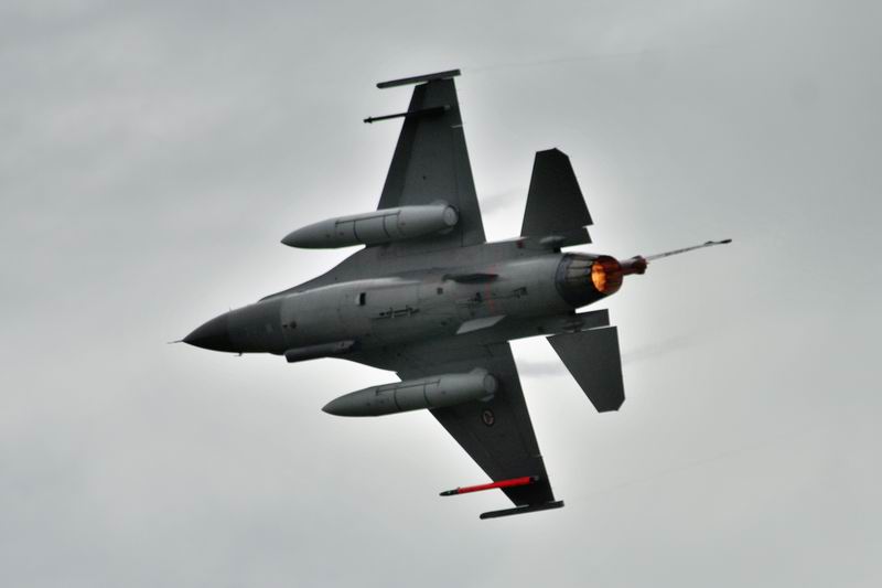 F16.jpg