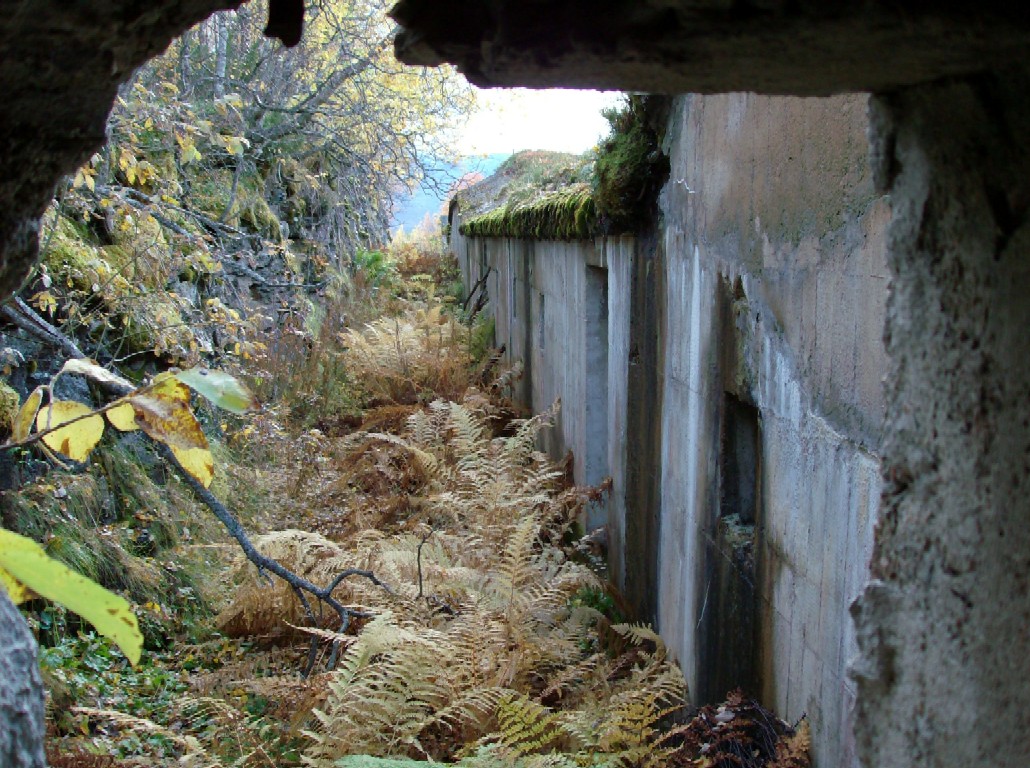 Bunkerbakside II.jpg