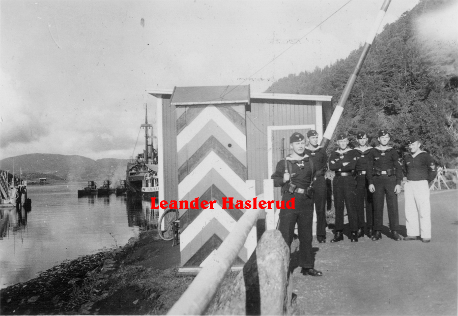 F1.jpg