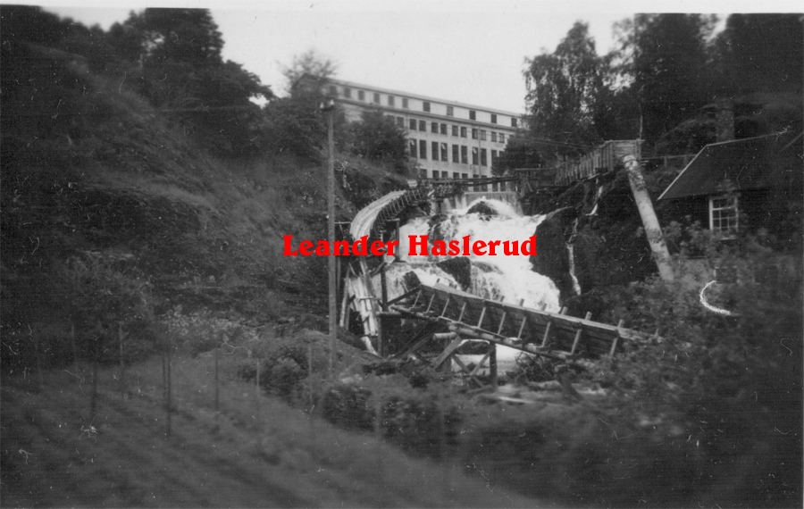F19.jpg