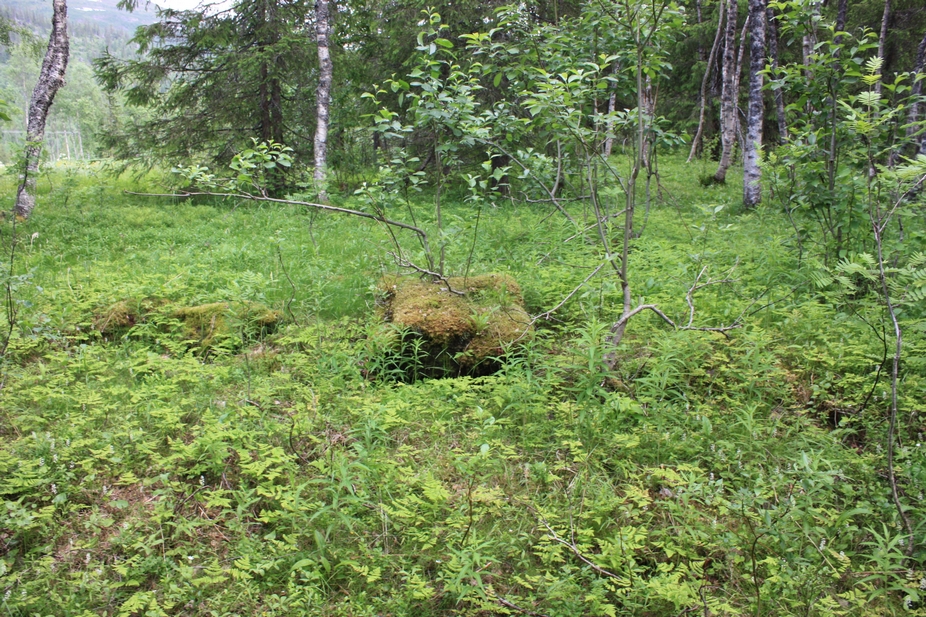 nr 10 på kartet. Nok et område hvor det var overgrodd betong og slike firkantede klosser hvor det så ut til å være en liten åpning inn til noe. Nedgravd bunker??