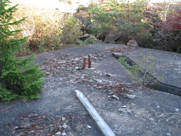 063-1.JPG