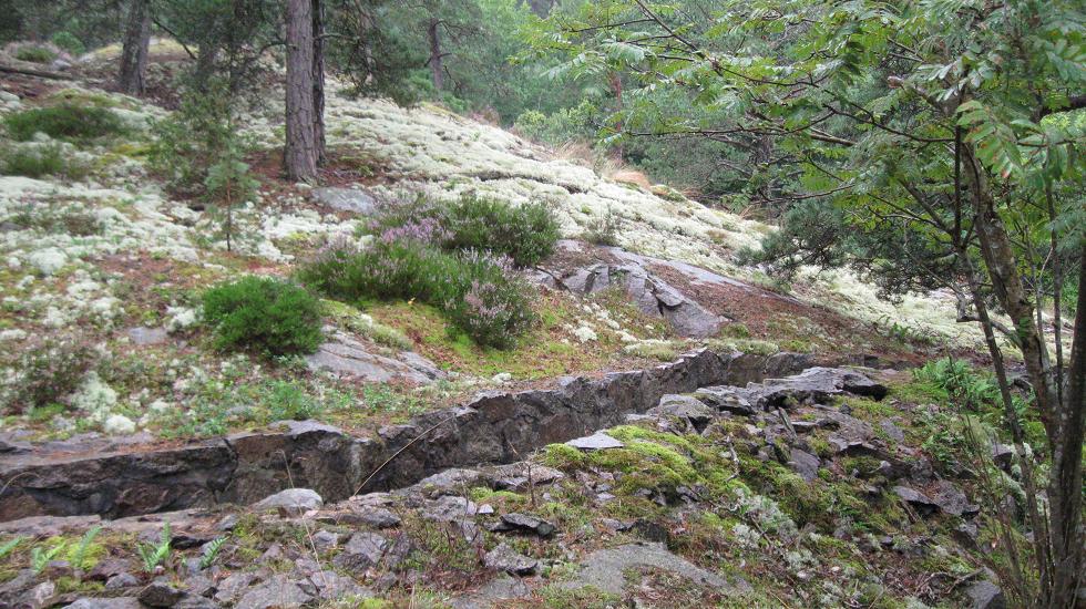 Korterødkilen (23).JPG