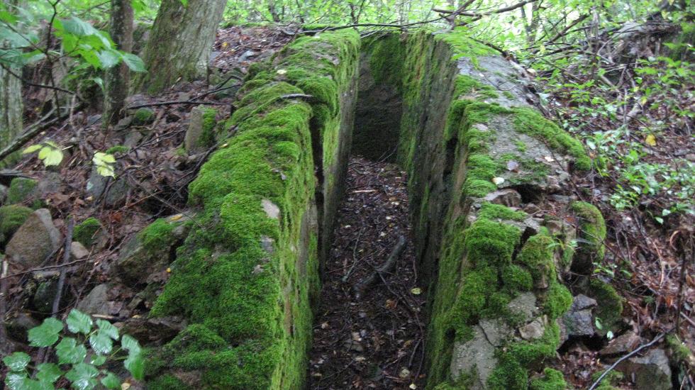 Sildebaugen (9).JPG