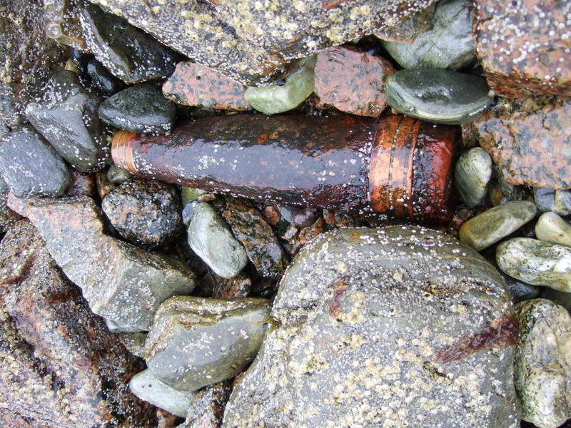 Bjarkøy150810 092.jpg