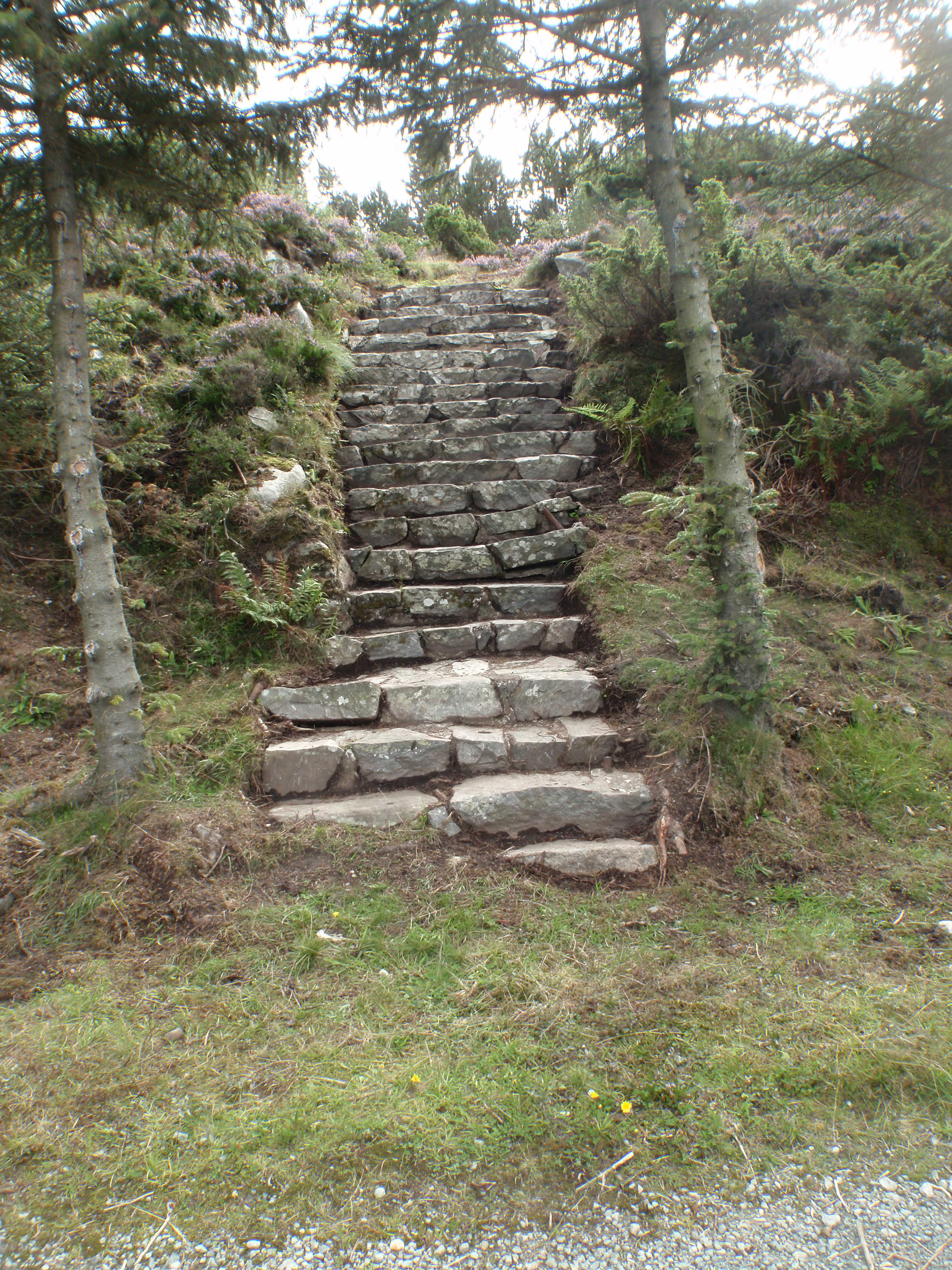 P8222469.JPG