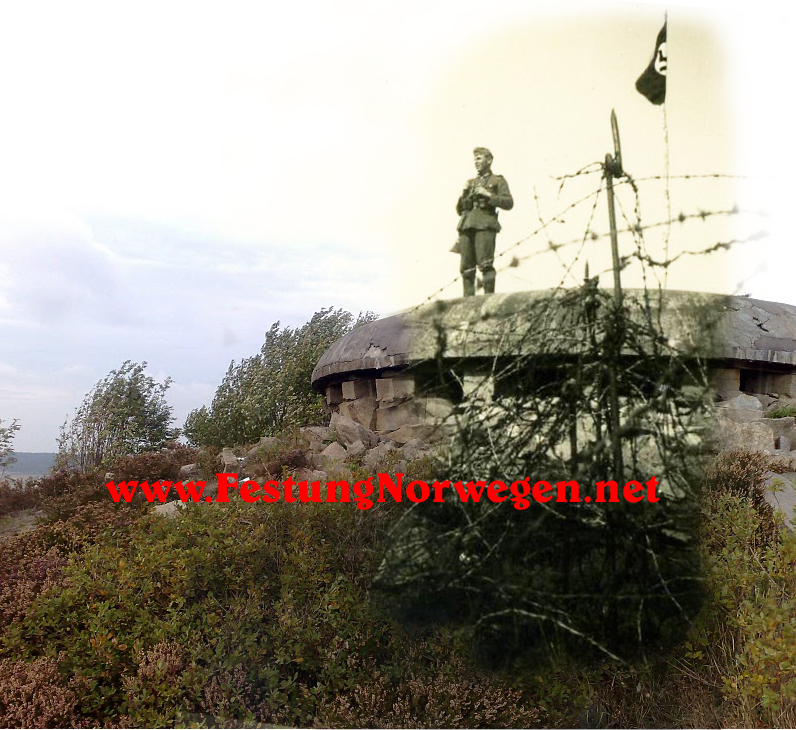 Greåker fort O-N2.jpg