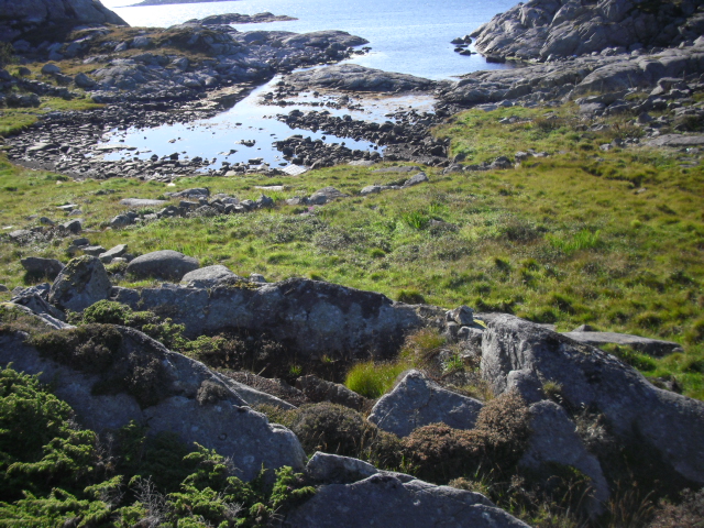 Lurer på om det kan ha vore denne KOS fant da han var der ute sist ?