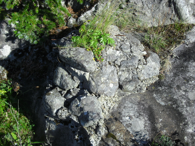 CIMG1540.JPG