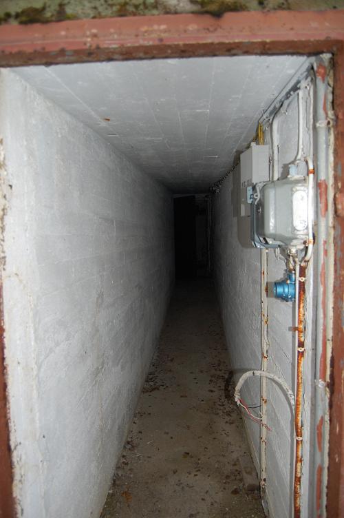v5.JPG