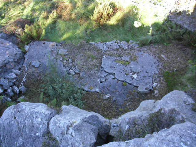 CIMG1522.JPG