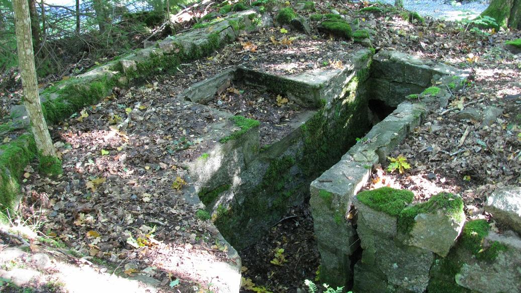 Sildebaugen (1).JPG