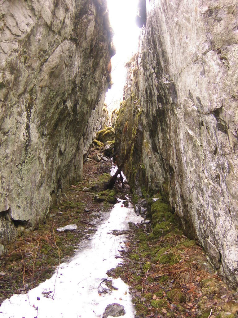 29.jpg