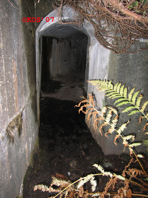 Trappene i tunnelen leder opp i denne åpne stillingen. Bildet tatt 'bakover' når en er på plass