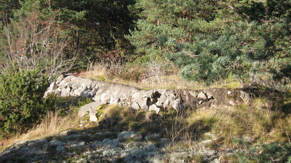 Torsnes (4).JPG