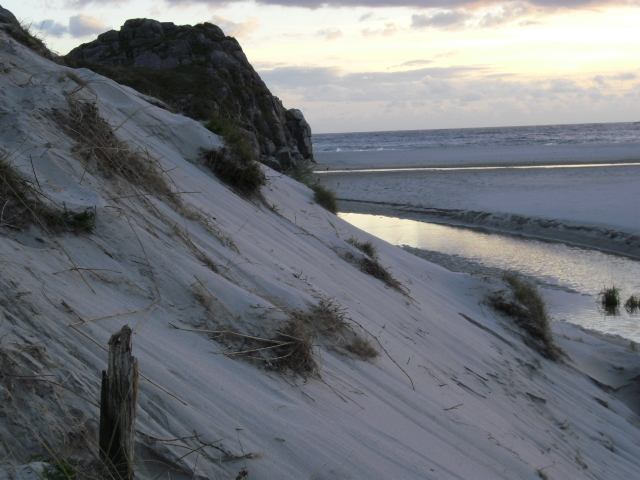 Achtung! Sie nähern sich einem Minenfeld!
