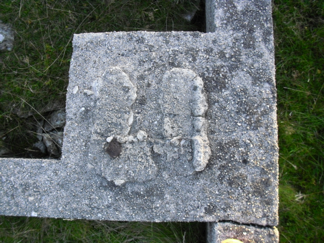 CIMG1722.JPG