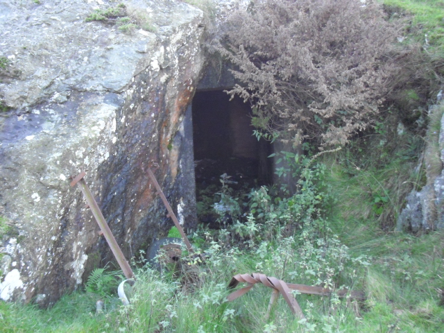 Her er orginal bildet