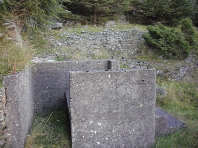 Rekner med tyskerene hadde noe å samle dritten i som kunne tas ut fra denne siden ?