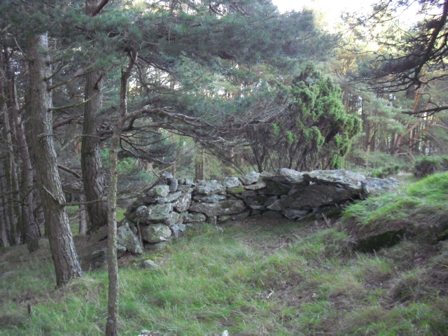 Kan ikke huske å ha sett bilde av denne...