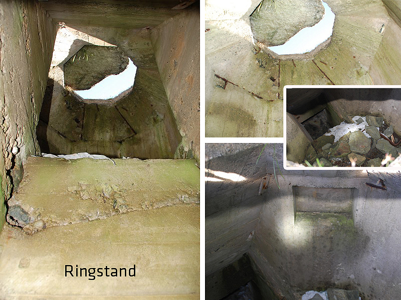 ringstand.jpg